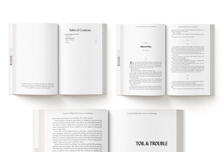 Book Layout Design