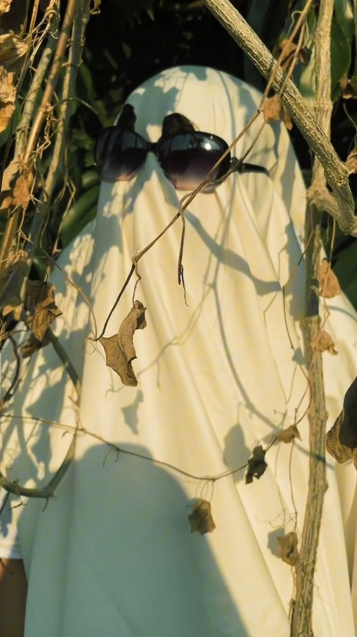 Flower Preservation Reel